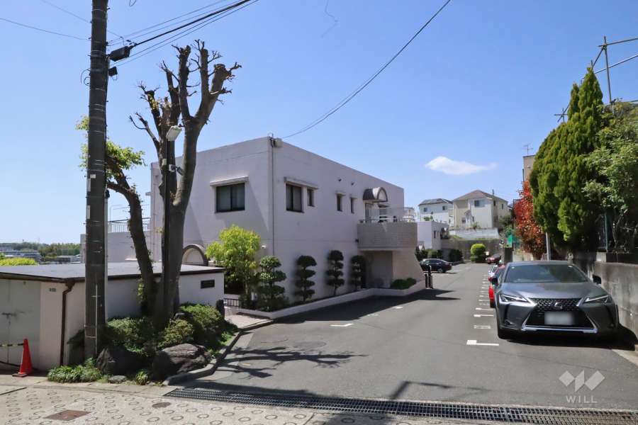 ベルヴィル向ヶ丘遊園の外観（北東側から）