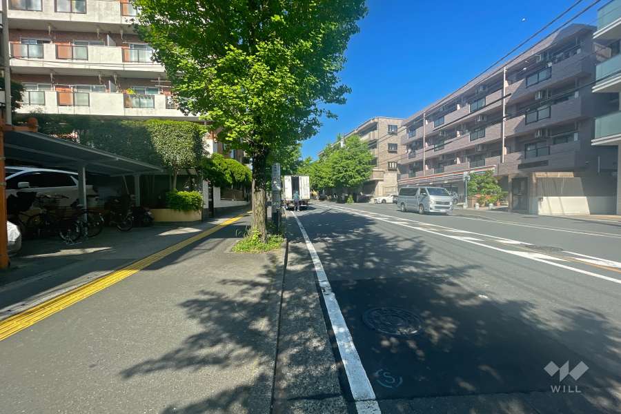 敷地北側の前面道路（東側から）