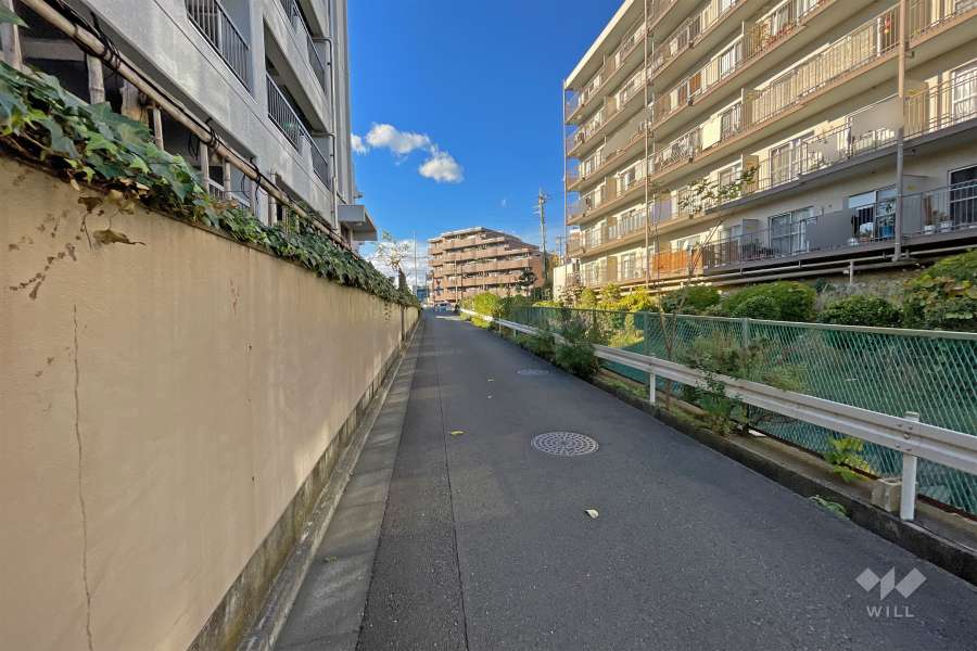 敷地の南西側前面道路は「ローズウォーク」と呼ばれ、無農薬・無化学肥料・不耕起栽培のバラを中心とした花壇造りが実践されています（南東側から）。