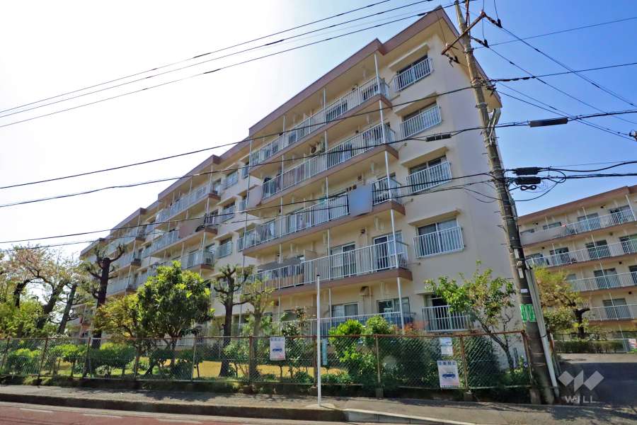 白幡台住宅２号棟の外観（東側から）