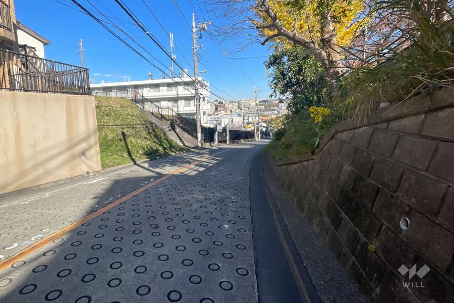 敷地の東側前面道路（南側から）
