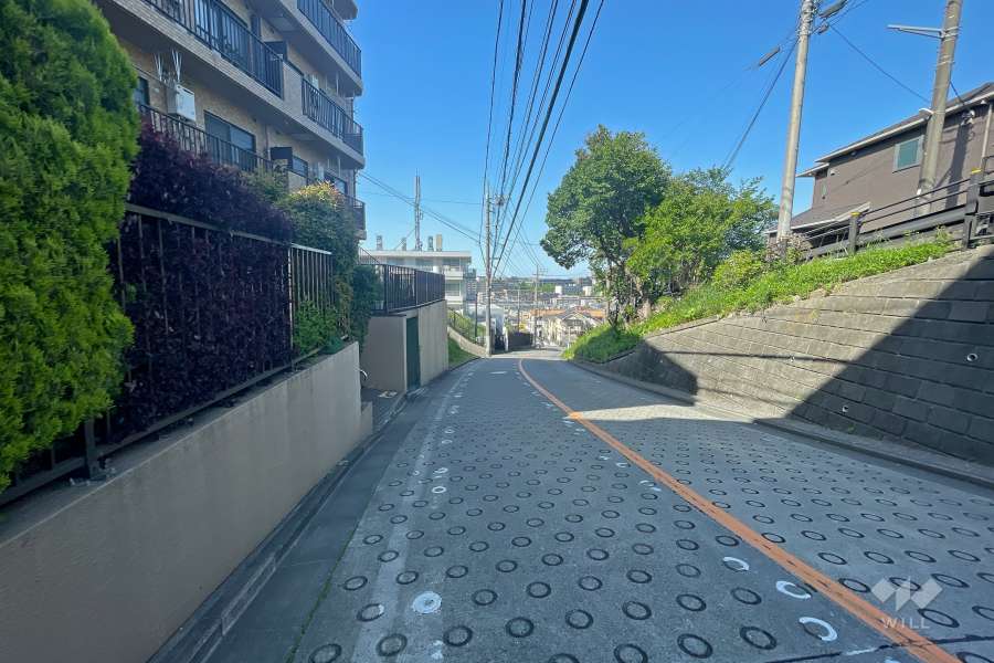 敷地東側の前面道路（北側から）