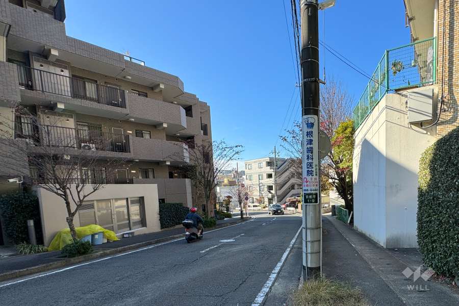 敷地の南側前面道路（東側から）