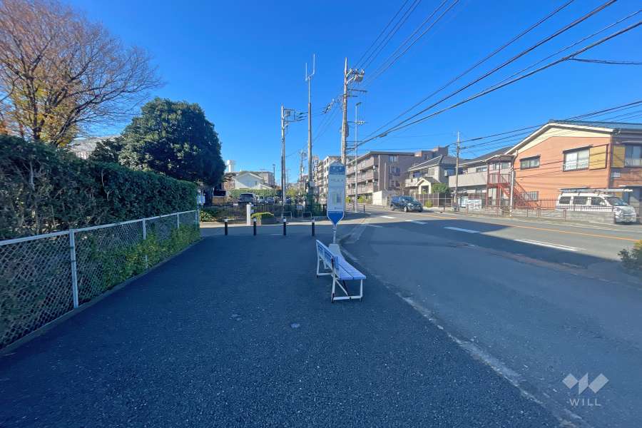 敷地北側の前面道路（東側から）