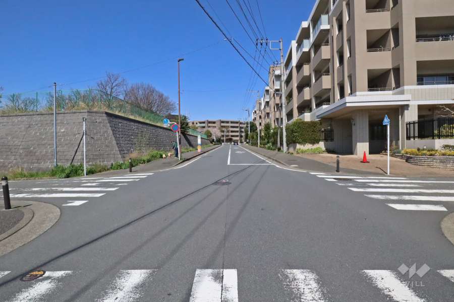 敷地南西側の前面道路（南東側から）