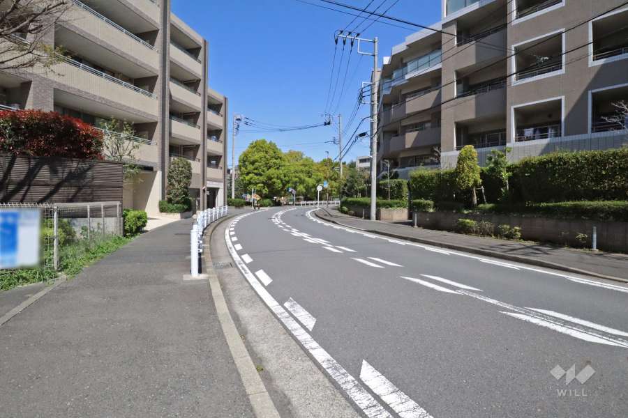敷地西側の前面道路（南側から）