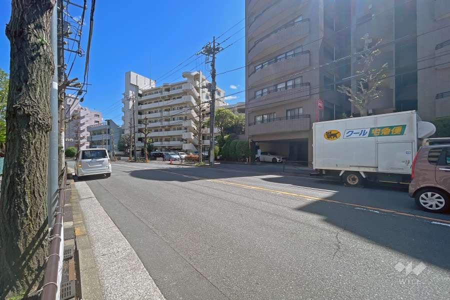 敷地南西側前面道路（北西側から）