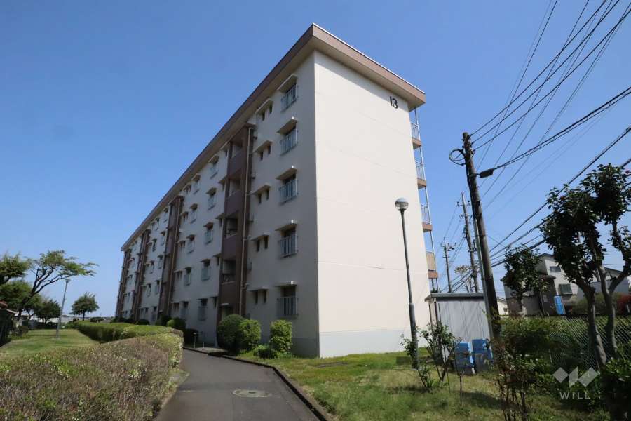 白幡台住宅13号棟の外観（西側から）