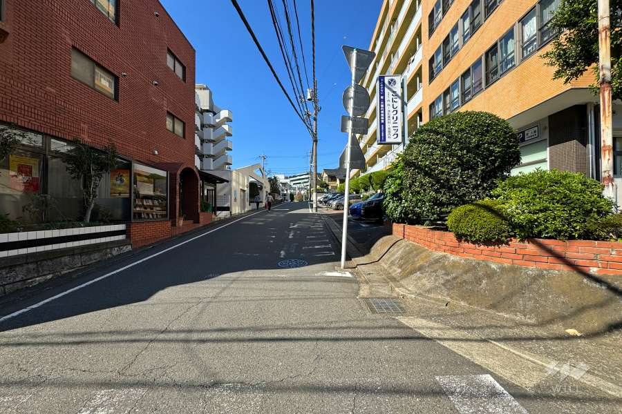 敷地南西側の前面道路（南東側から）