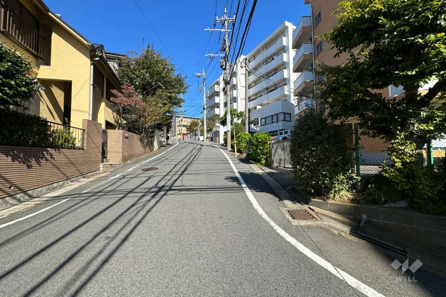 敷地西側の前面道路（南側から）