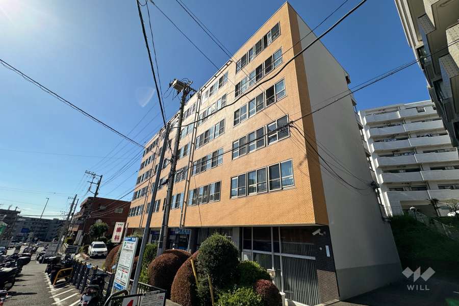 鷺沼東急アパートの外観（北東側から）