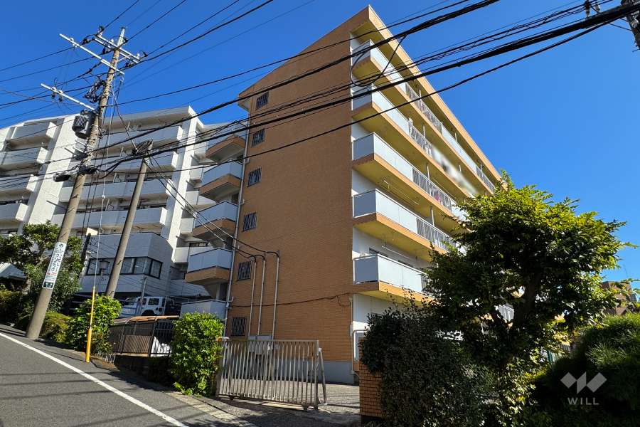 鷺沼東急アパートの外観（南西側から）