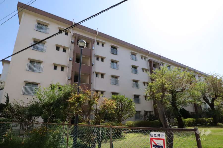 白幡台住宅７号棟の外観(北東側から)