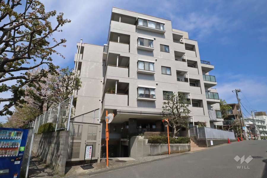 ライオンズヒルズ梶ヶ谷東の外観（南東側から）