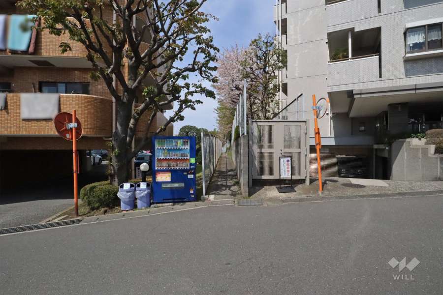 敷地南側の通路