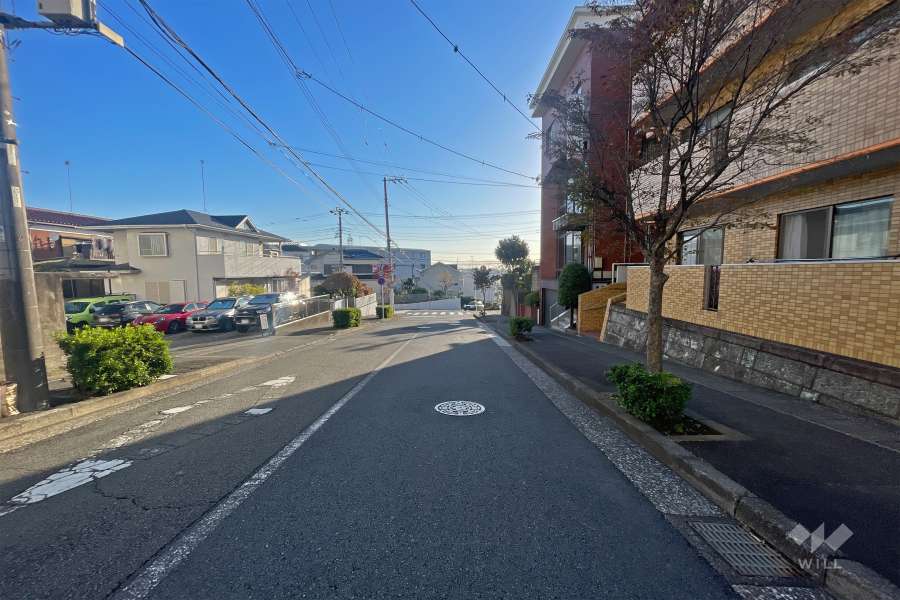 敷地北側の前面道路（西側から）