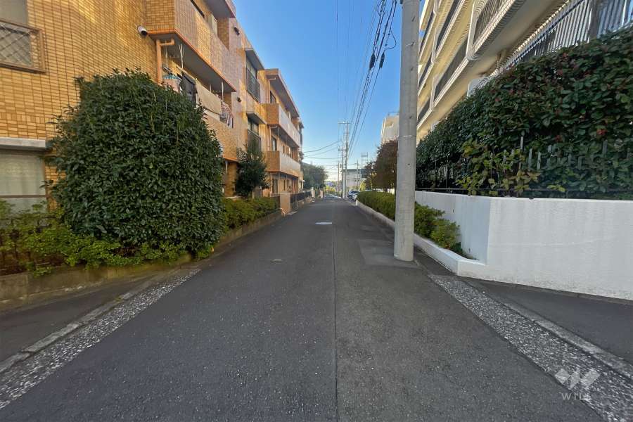 敷地西側の前面道路（北側から）