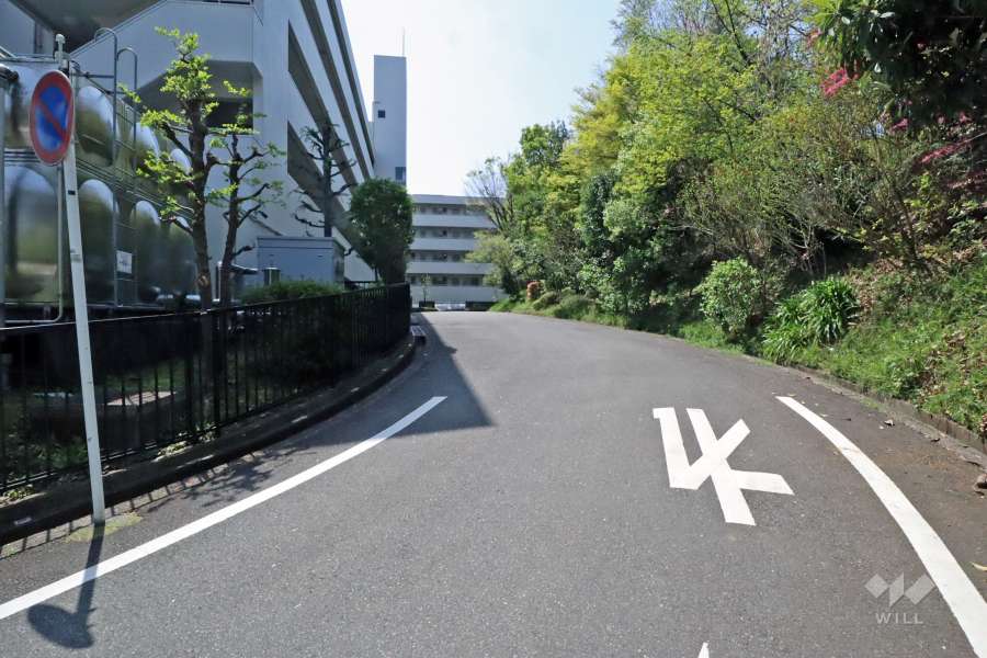 敷地の北側道路(東側から)