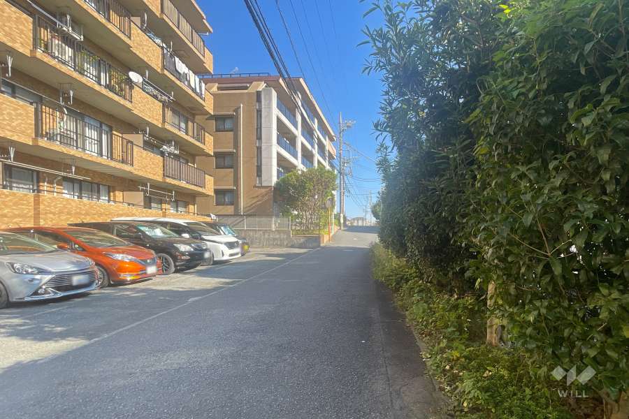 敷地南側の前面道路