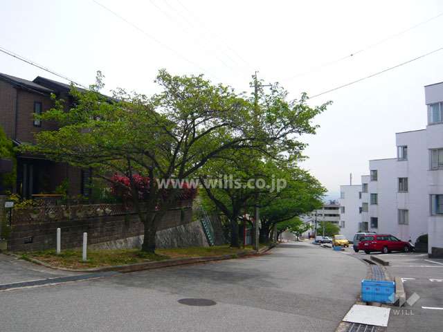 建物の北側は桜並木に面しています。