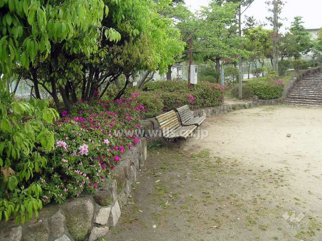 敷地南側にある公園