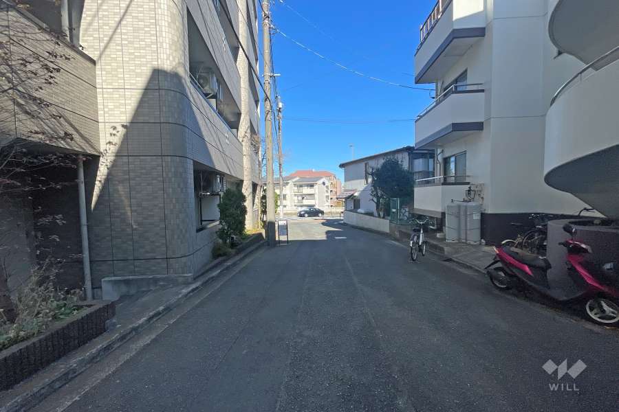 敷地北側の前面道路（南側から）