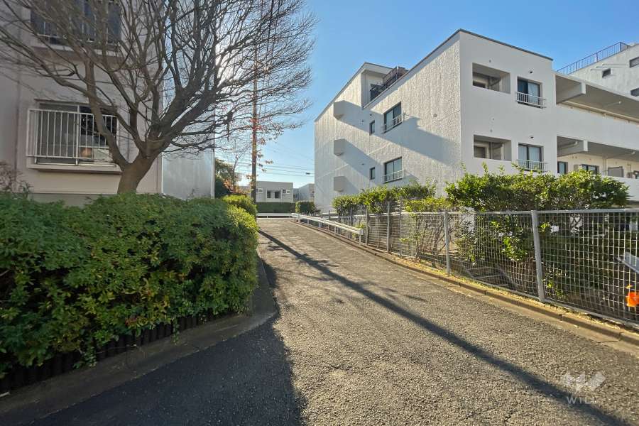 敷地東側の前面道路（北側から）