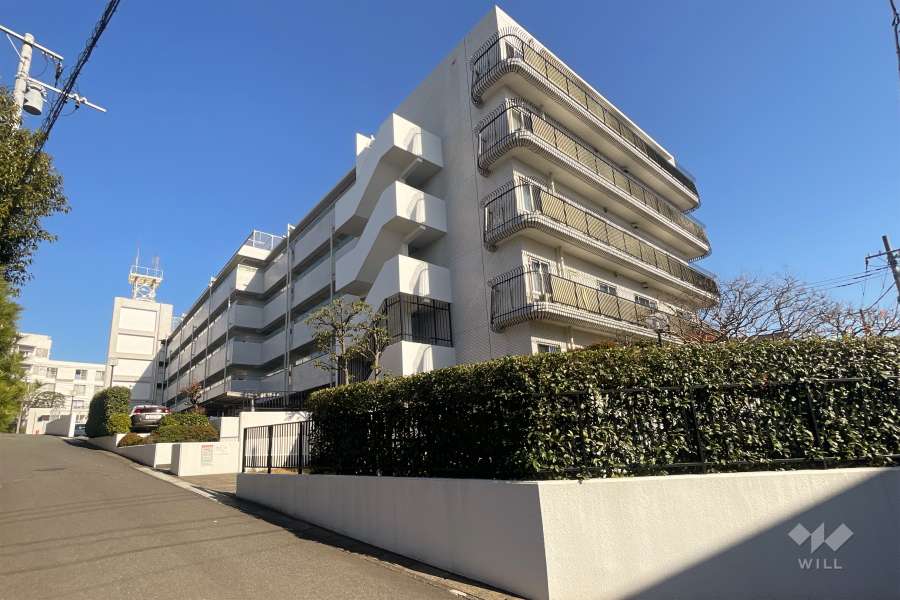 ペットマンション 川崎市宮前区でペット飼育可のマンションをさがす｜ウィル不動産販売