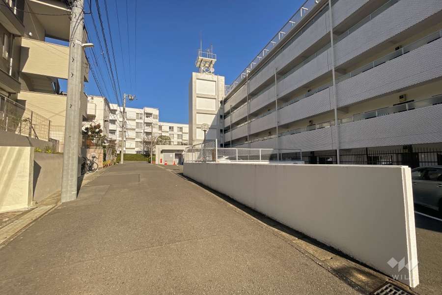 敷地西側の前面道路（南側から）
