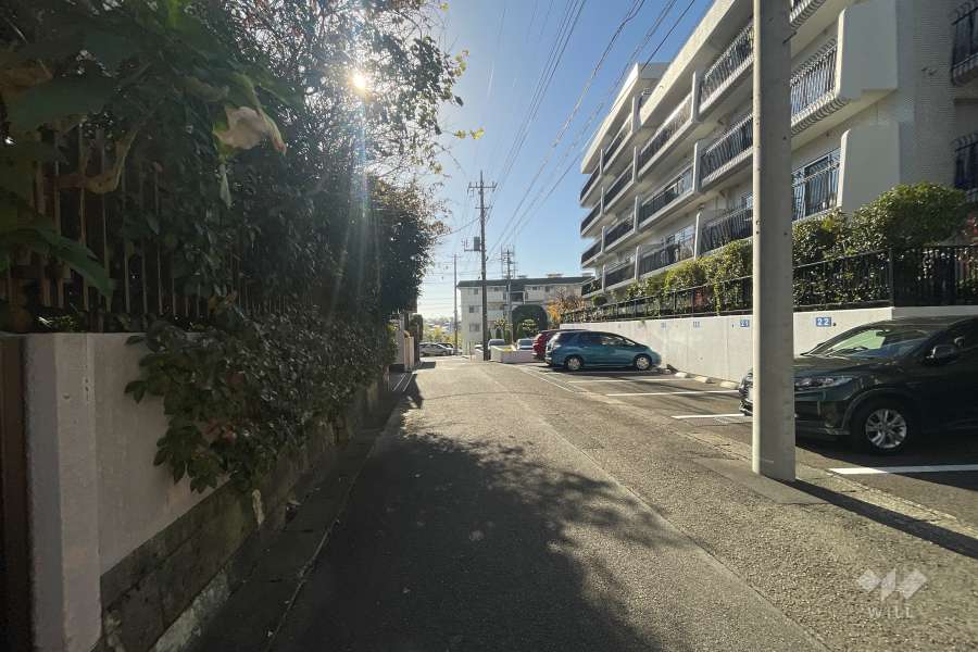 敷地東側の前面道路（北側から）