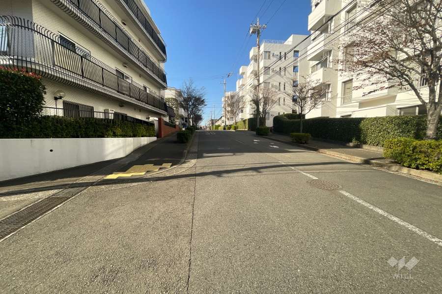 敷地北側の前面道路（東側から）