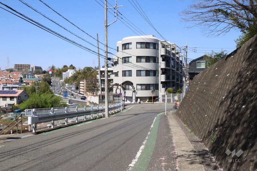 敷地南側の前面道路(南側から)