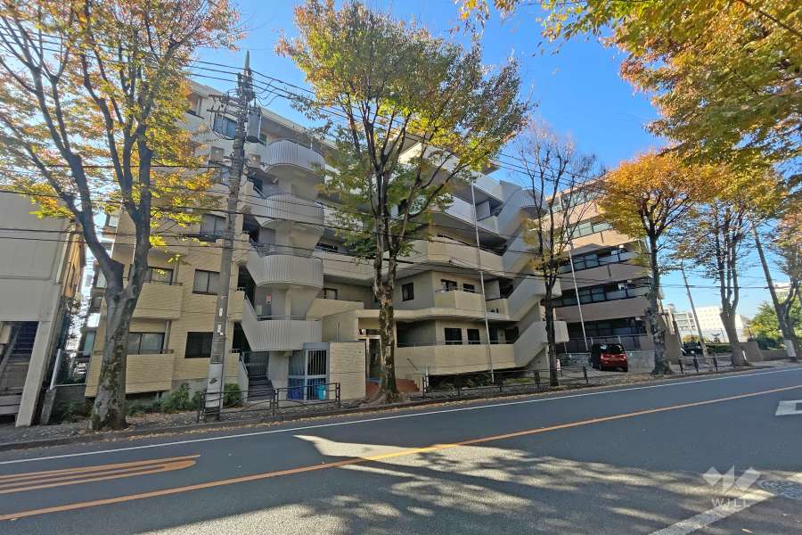 ソフィア鷺沼の外観（北東側から）