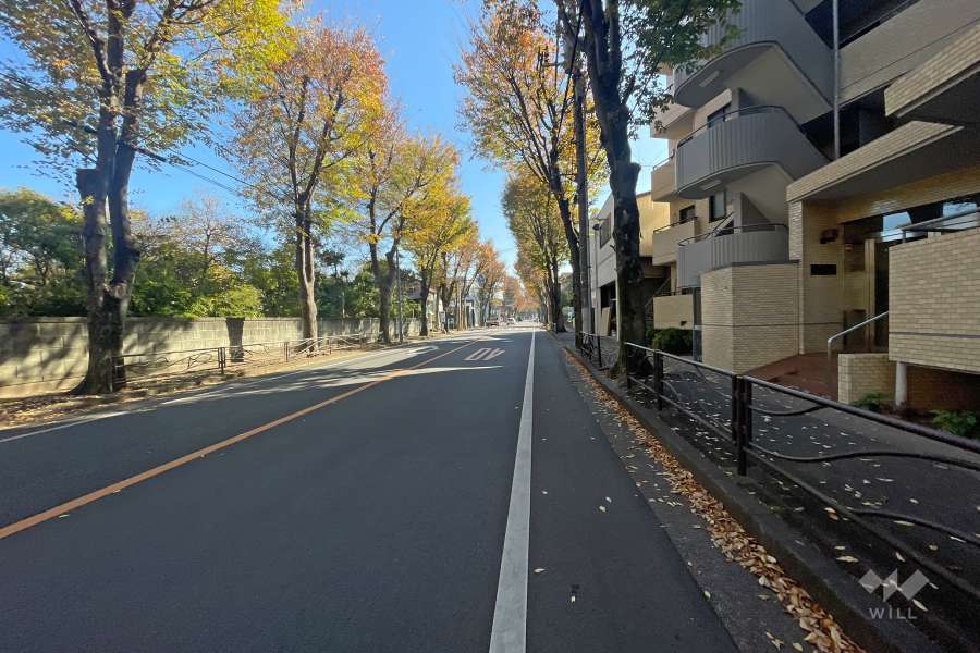 敷地北側の前面道路（東側から）