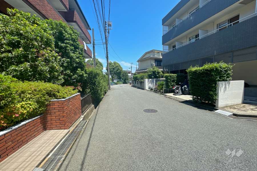 敷地南東側の前面道路（南西側から）