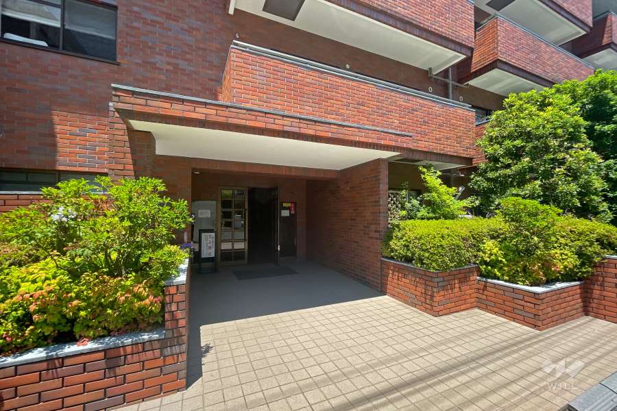 エントランスアプローチ