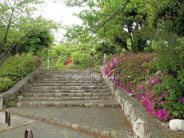 敷地の北西側にある公園