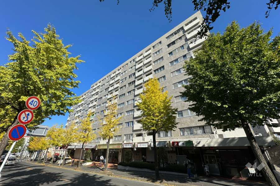 東急鷺沼ドエルの外観（南側から）