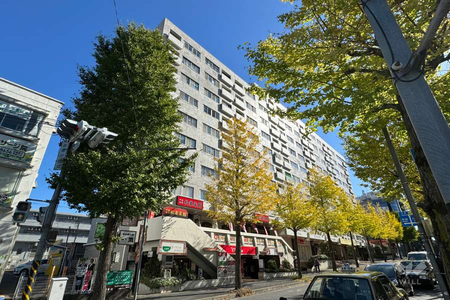 東急鷺沼ドエルの外観（西側から）