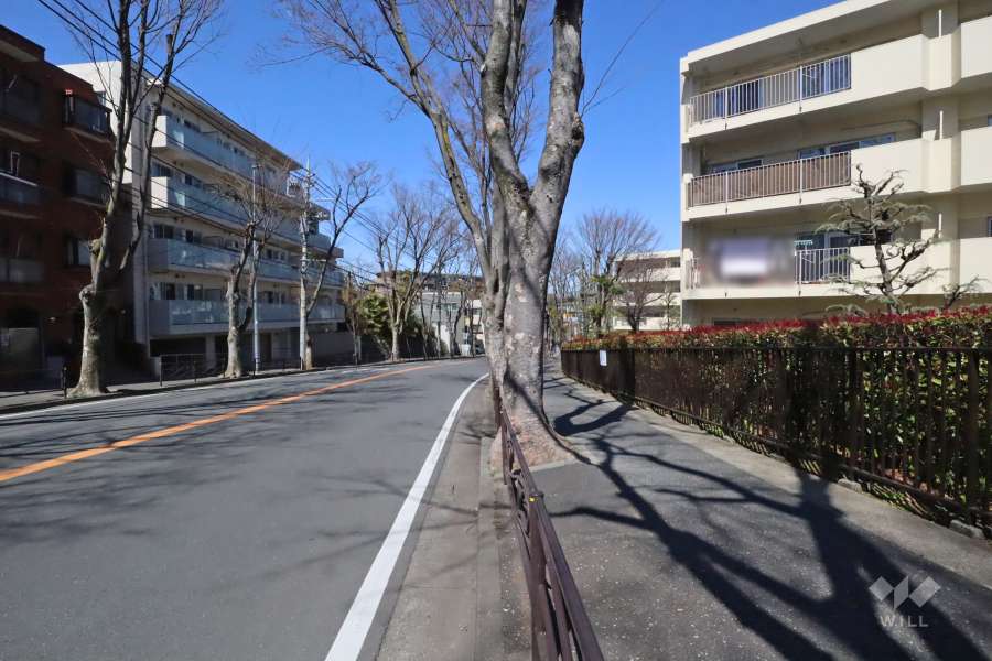 敷地西側の前面道路　