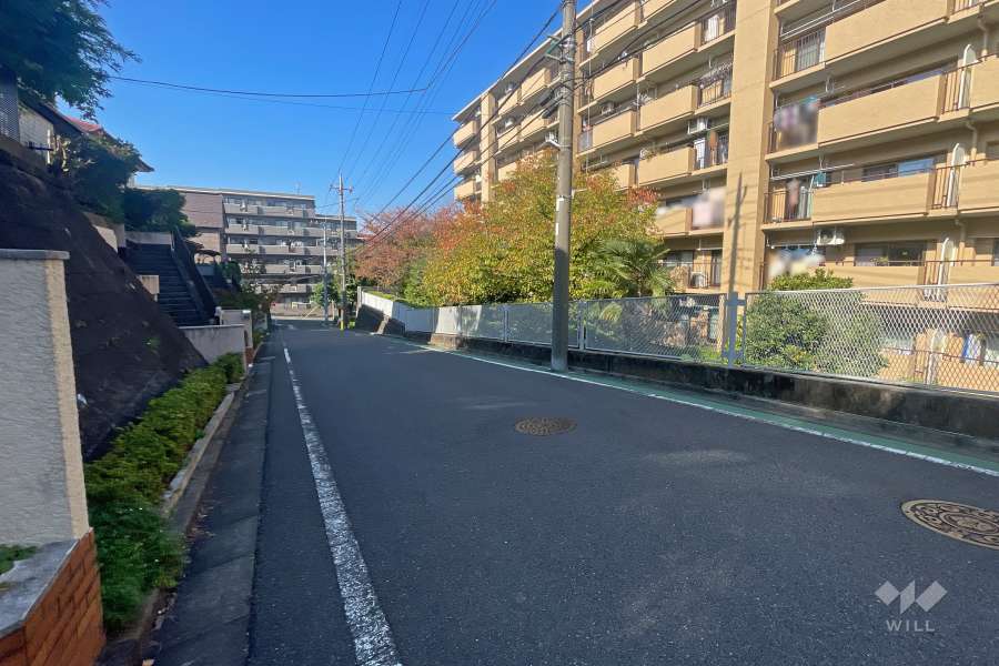 敷地南側の前面道路（東側から）