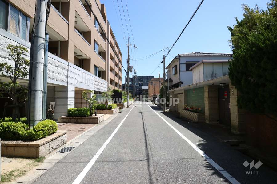 敷地南側の前面道路