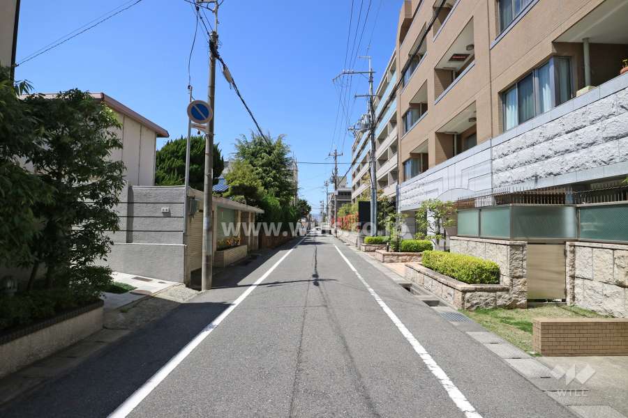 敷地南側の前面道路