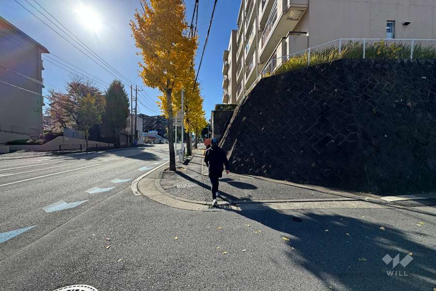 敷地東側の前面道路（北側から）