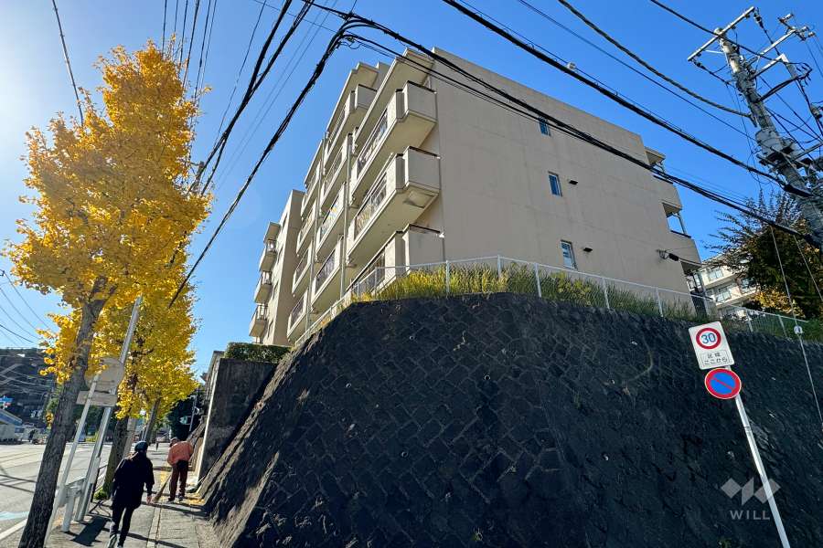 ウィンザーハイム鷺沼アーベインの外観（北東側から）