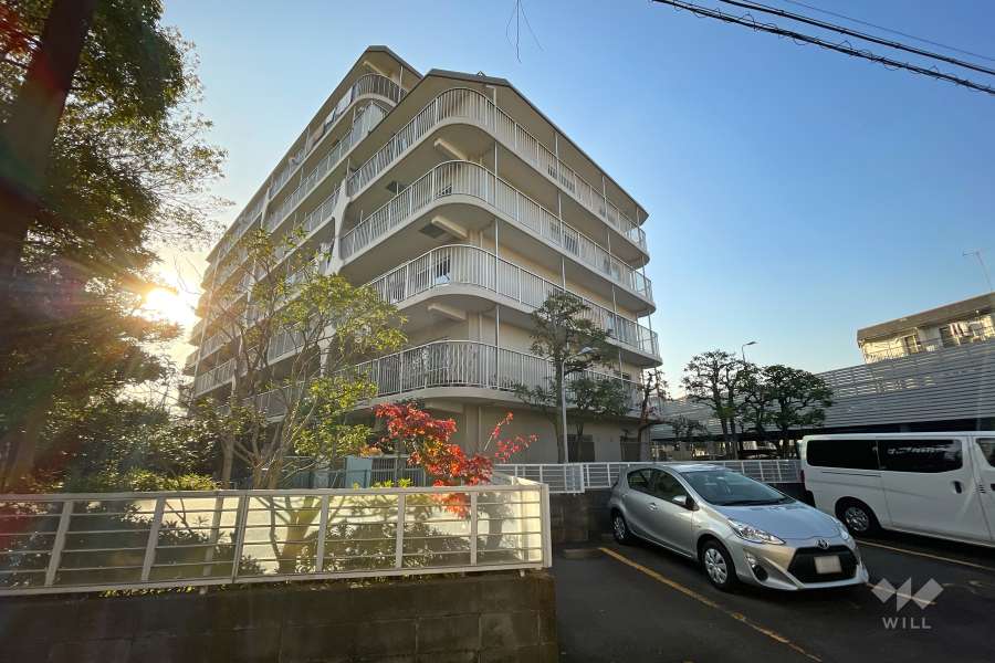 サニーハイツ梶ヶ谷のの外観（東側から）