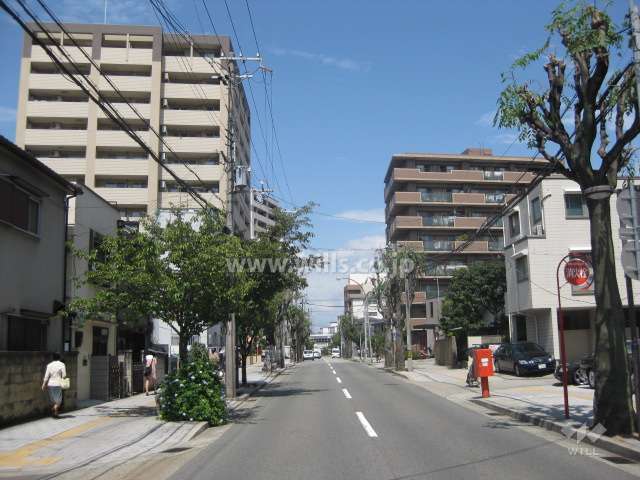 マンション東側の道路