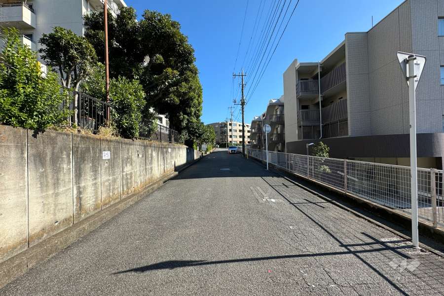 敷地南東側の前面道路（南西側から）