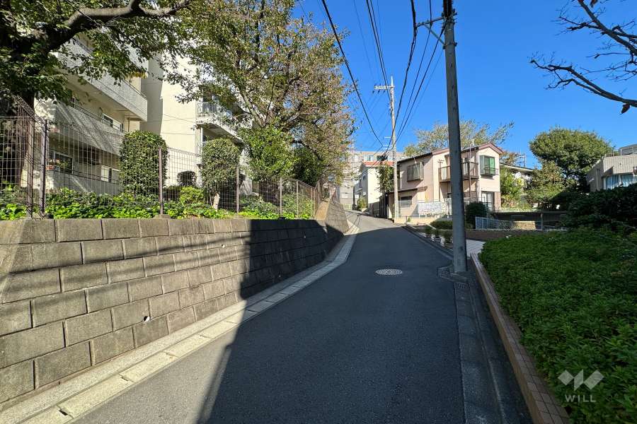 敷地東側の前面道路（南側から）
