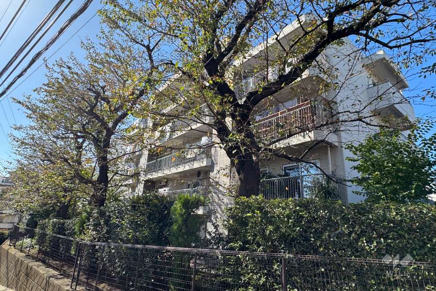 第２ウインザーハイム鷺沼の外観（北東側から）